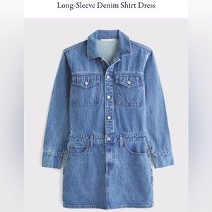 Abercrombie Denim Button Up Shirt Dress